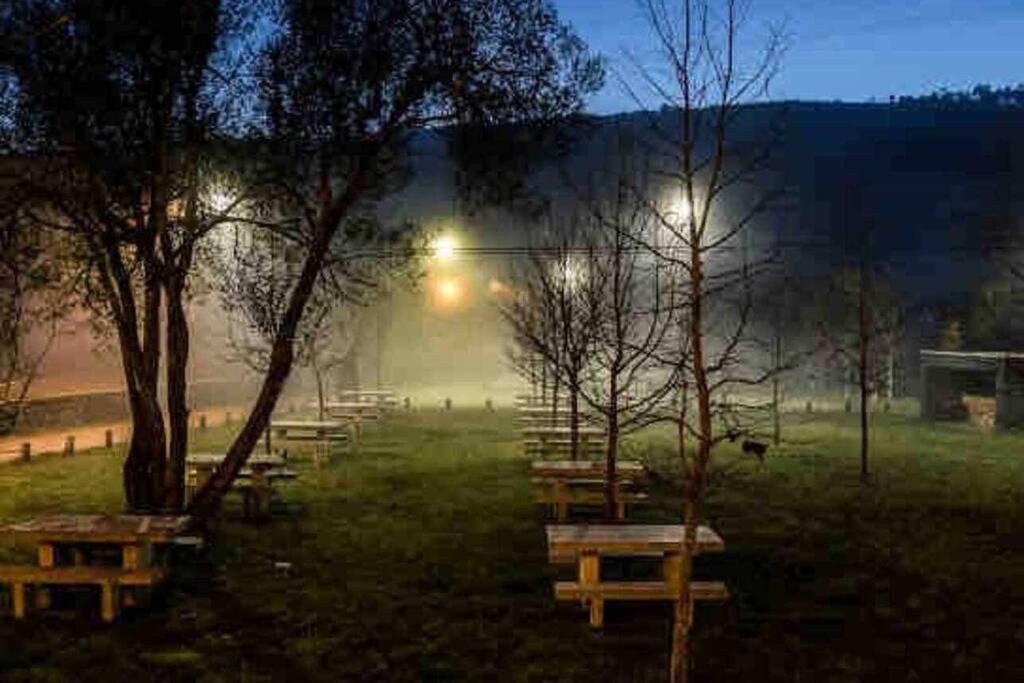 Viana Do Castelo - Amonde Village - Casa L - Disfrute Da Natureza מראה חיצוני תמונה