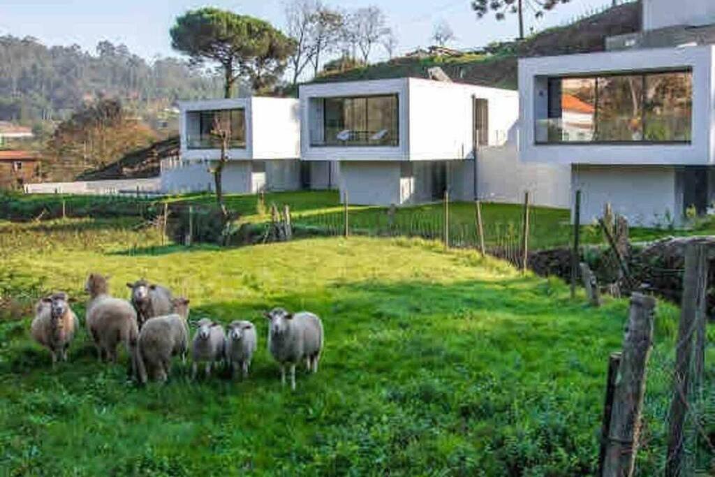 Viana Do Castelo - Amonde Village - Casa L - Disfrute Da Natureza מראה חיצוני תמונה