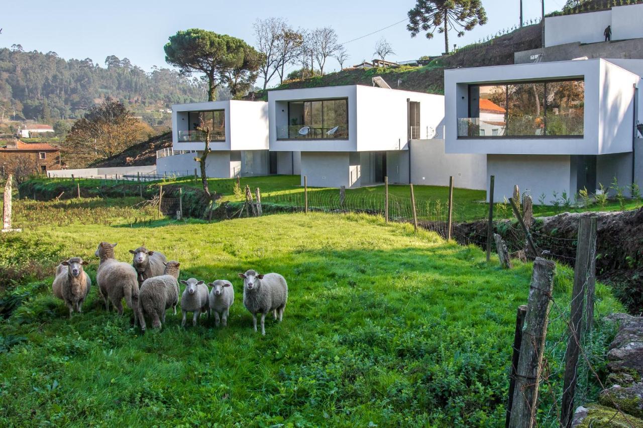 Viana Do Castelo - Amonde Village - Casa L - Disfrute Da Natureza מראה חיצוני תמונה